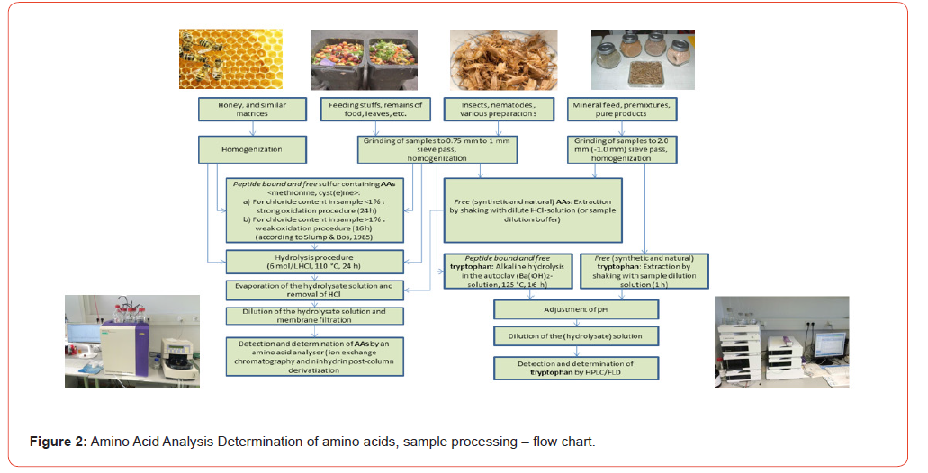 Click here to view Large Figure 2 Insights in Chemistry and Biochemistry
